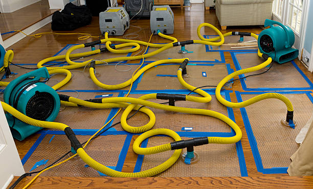 Professional Storm Water Damage Restoration technician working in Cortlandt Manor, NY